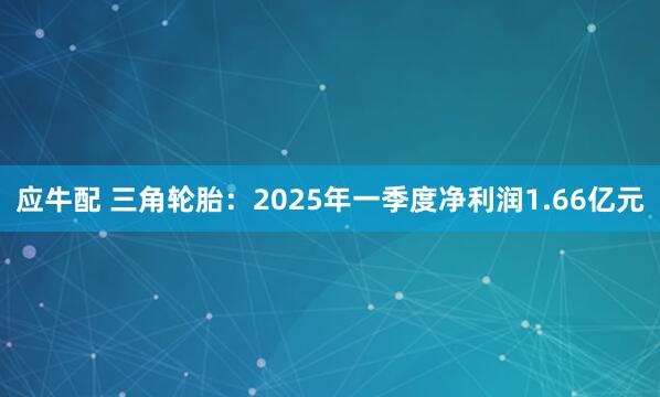 应牛配 三角轮胎：2025年一季度净利润1.66亿元