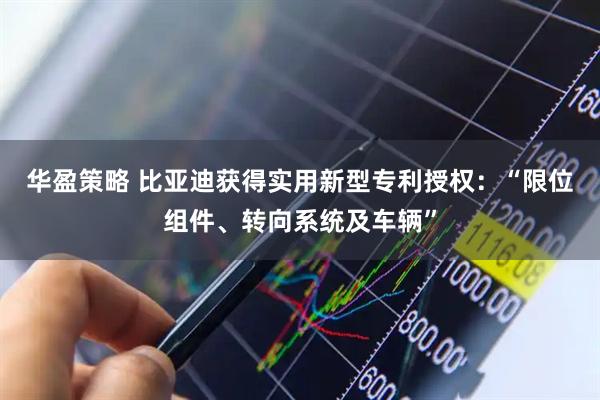 华盈策略 比亚迪获得实用新型专利授权：“限位组件、转向系统及车辆”