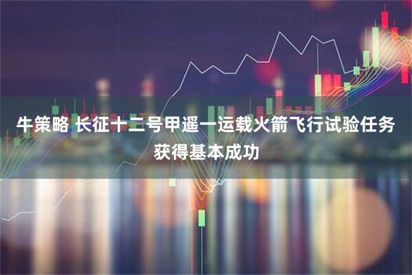 牛策略 长征十二号甲遥一运载火箭飞行试验任务获得基本成功