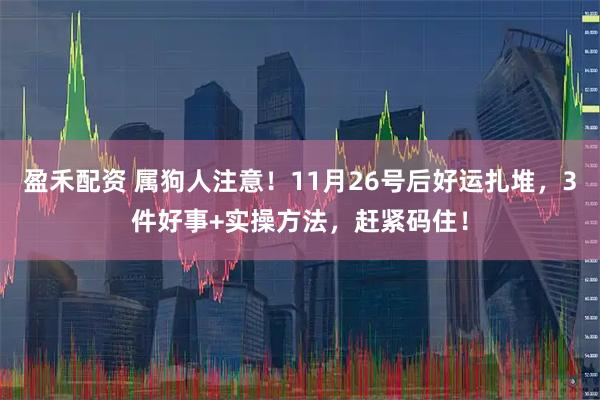 盈禾配资 属狗人注意！11月26号后好运扎堆，3件好事+实操方法，赶紧码住！